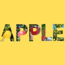 삼정농원 이미지