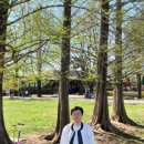느티나무공인중개사사무소 이미지