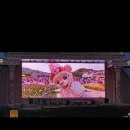 비디오랜드 이미지