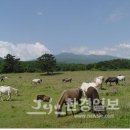 영구축산 이미지