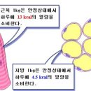 싸피엔스 짐 이미지