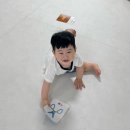 리퍼하우스안 | 아기시공매트추천 파파폼즈 시공매트 30평대 가격 및 내돈내산 후기
