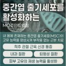 해빛6로 이미지