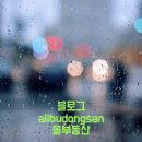 고신대학교 교회음악대학원 이미지