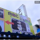 속초 조개상회 진짜 조개 맛집이네요