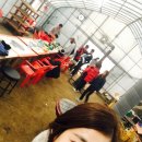 배로농원 이미지