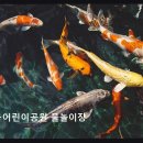 1273 | 수원 영통구 어린이 물놀이장 고래등어린이공원 물놀이장 무료 이용 가능한 가족 나들이 장소