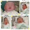 도현