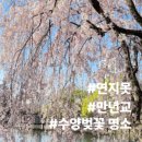 만년교(하)