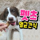 펫스 | 펫스의 실온보관이 가능한 강아지 멸균간식 솔직후기