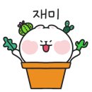 다육씨