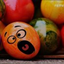 구립한남노인요양원 이미지