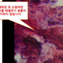 베데스다한의원 이미지