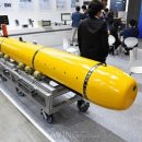 대양전장 이미지