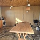 퐁낭거리 이미지