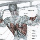 드림헬스 이미지