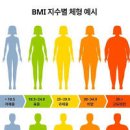 bmi (비엠아이) 뜻 비만 측정법 bmi 지수 정상범위 비만 고도비만 이미지