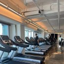 짐스토리 피트니스 이미지