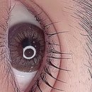 로지브로우