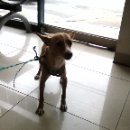 가좌종합동물병원 이미지