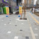 송산플라워 이미지