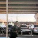 신기공원 | [충주여행] 탄금호 피크닉공원 이용 후기 | 주차, 시설, 솔직 리뷰