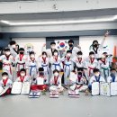 용인대 늘품 태권도 이미지