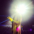 냥스타그램 이미지