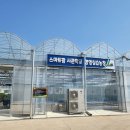 키우다 이미지