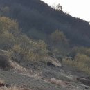 번덕뜰 민박 이미지