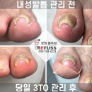 레푸스원주점