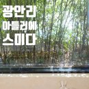 하프타임과정로 | 광안리 근처 카페 아틀리에스미다 금실딸기 케이크 제대로 먹고 온 후기