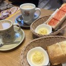 A+모닝프라자 | 삿포로 [코메다커피 스스키노점] 방문기 (위치·모닝세트·후기)