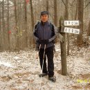 영춘