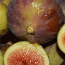 천우농장 이미지