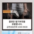 에쎄 이미지