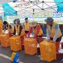 주천면 하주마을 Daum카페