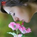 중2동-19 이미지