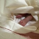 (주)지온 | 지온산후조리원 후기