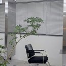헤어바이진 - 북구 | 헤어바이진