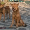 용순농장 이미지