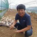 발화농장 이미지