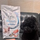 샤이니덴탈 이미지