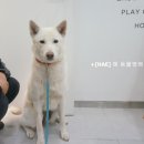 해동물병원 이미지