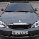 엘피지카 이미지