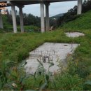 경기도 양평군 수입초등학교 이미지