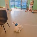 봉글봉글 이미지