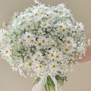 장안꽃시장 이미지