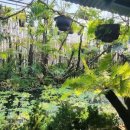 방어점기아오토큐 이미지