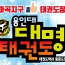 용인대 대명 태권도장 이미지